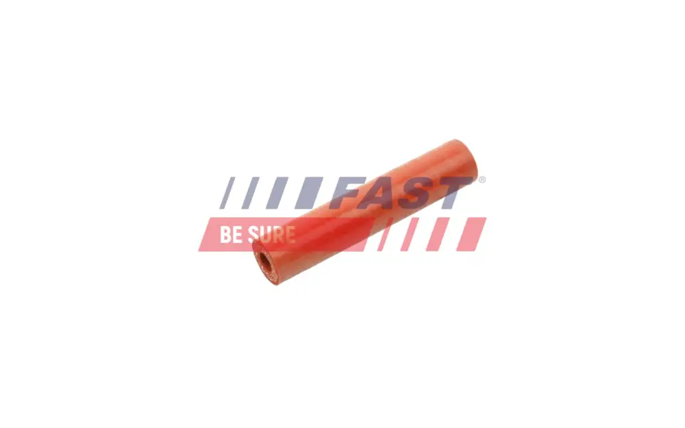 Begrenztes Angebot FAST FT63806 - Ladeluftschlauch
