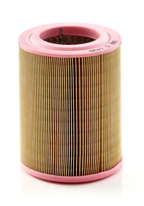 Sonderangebot MANN-FILTER C 1430 - Luftfilter