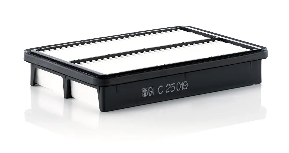 Garantierte Lieferung MANN-FILTER C 25 019 - Luftfilter