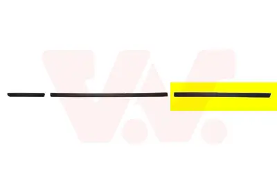 VAN WEZEL 0646425 - Zier-/Schutzleiste, Tür Highlight