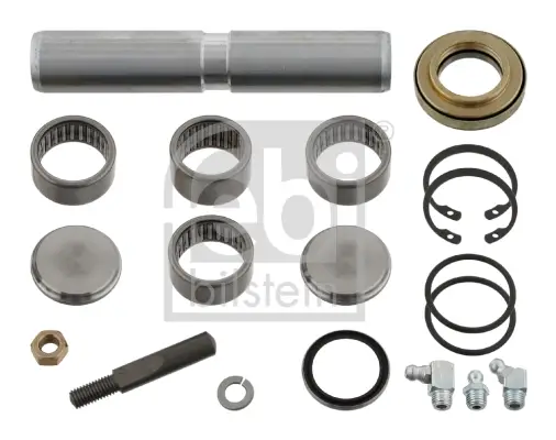 FEBI BILSTEIN 09690 - Reparatursatz, Achsschenkelbolzen Schneller Versand
