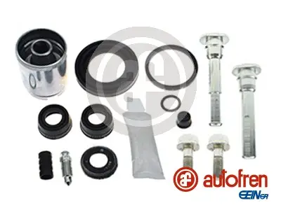 Günstig AUTOFREN SEINSA D43891S - Reparatursatz, Bremssattel