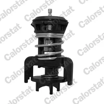 CALORSTAT by Vernet TH7275.92J - Thermostat, Kühlmittel Billig