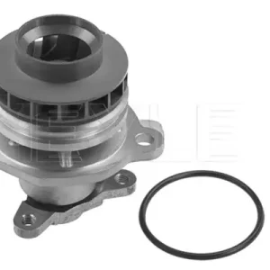 Direkt Vom Hersteller MEYLE 16-13 220 0020 - Wasserpumpe, Motorkühlung - MEYLE-ORIGINAL True to OE.