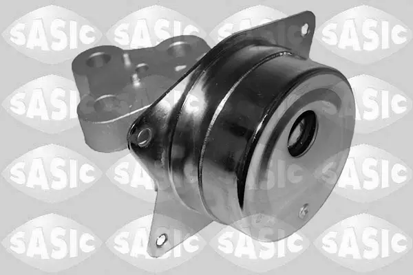 Jetzt Bestellen SASIC 2706291 - Lagerung, Motor