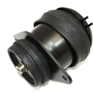 AUTOMEGA 130028010 - Lagerung, Motor Echt