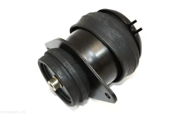 AUTOMEGA 130028010 - Lagerung, Motor Echt