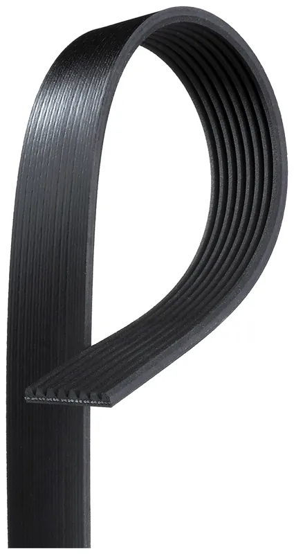 GATES 8PK1655HD - Keilrippenriemen - FleetRunner™ Micro-V Kracherpreis