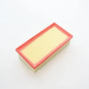 AUTOMEGA 180055710 - Luftfilter Schneller Versand