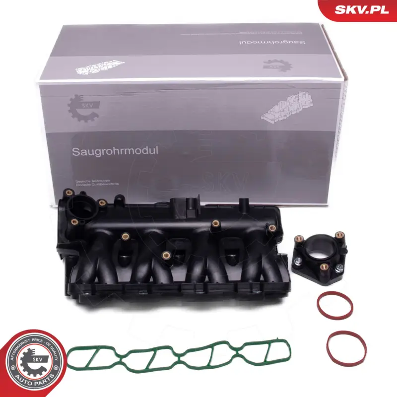 ESEN SKV 49SKV081 - Saugrohrmodul Expressversand