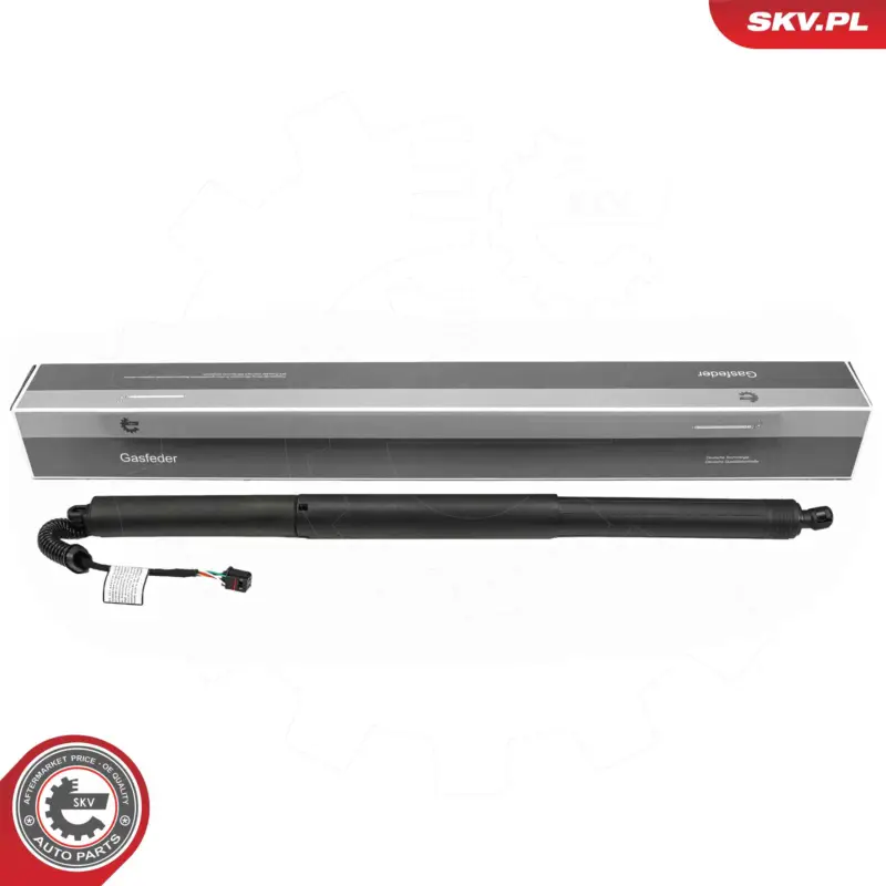 ESEN SKV 52SKV277 - Elektromotor, Heckklappe Preisreduziert