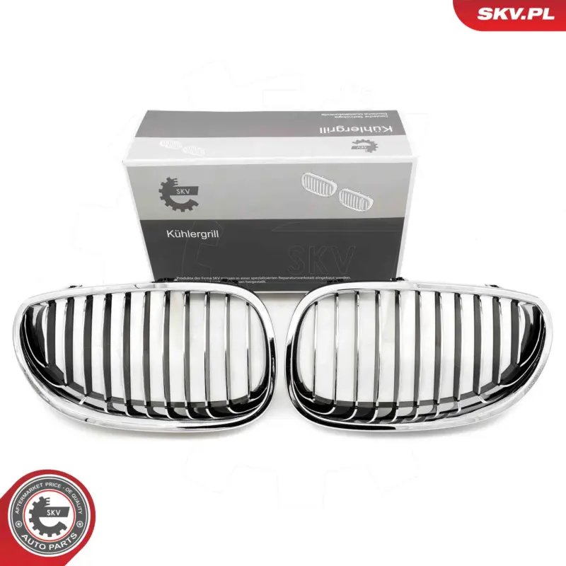 ESEN SKV 66SKV168 - Kühlergitter Aktuell