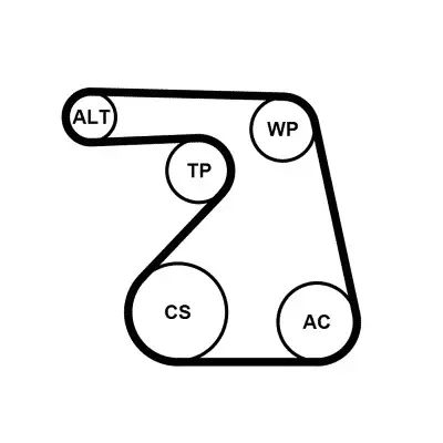 Top-Angebot CONTINENTAL CTAM 6PK1217K2 - Keilrippenriemensatz