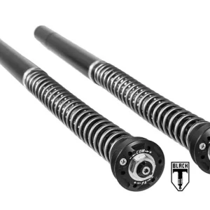 Wochenendangebot BLACK-T Cartridge Kit Stage4 für BMW RnineT (2014-2020)