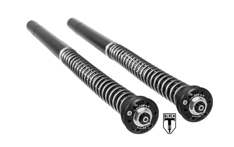 Wochenendangebot BLACK-T Cartridge Kit Stage4 für BMW RnineT (2014-2020)